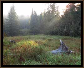 Rays of God